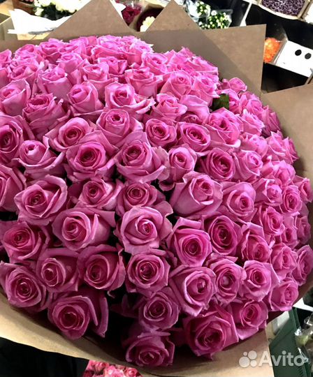 Розы, букет цветов, 101 роза, 51 роза Розы опт