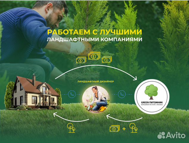 Деревья крупномеры