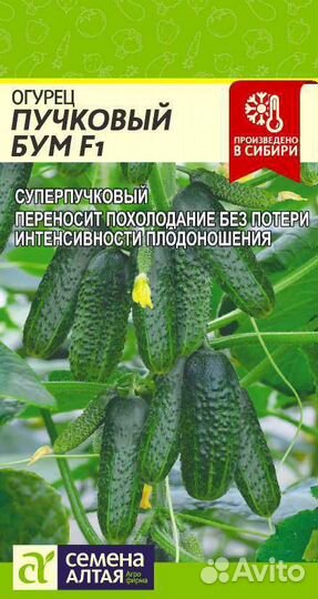 Семена огурцов
