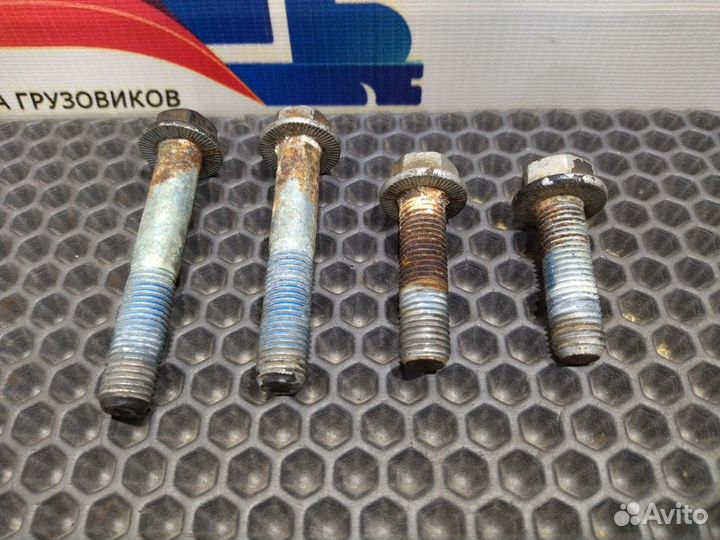 06028134813 Комплект болтов подушки двигателя