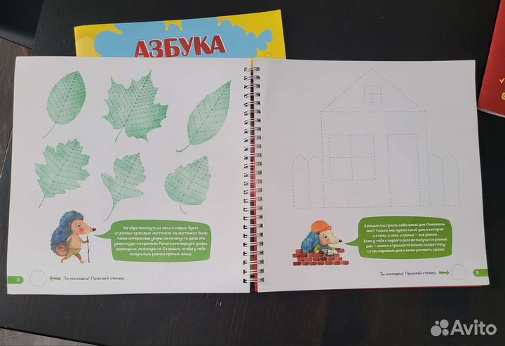 Шамиль Ахмадулин обучение письму