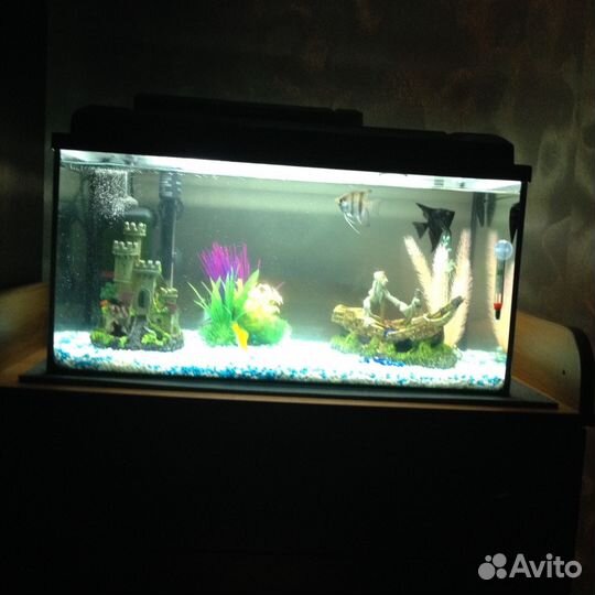 Аквариум