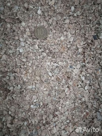 Ракушка кормовая