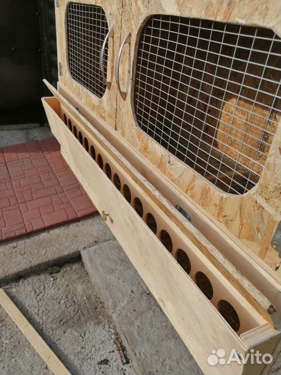 Брудер для цыплят