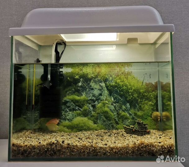 Аквариум