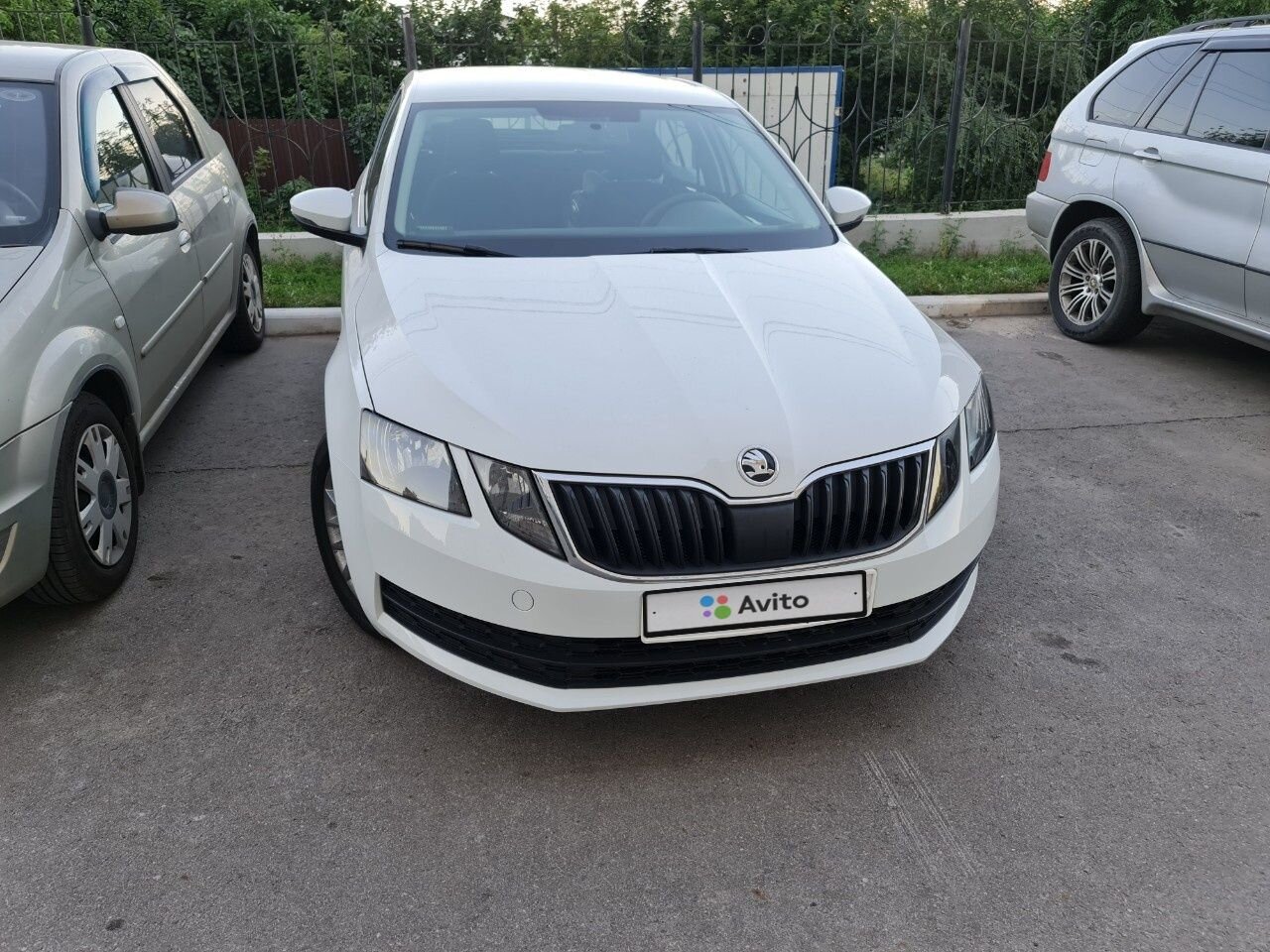 Skoda Octavia: фото владельца