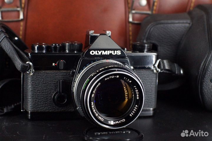 Olympus OM-1 + Zuiko 50 1.4