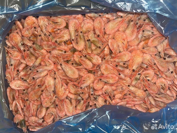 Креветка северная, варено-мороженая