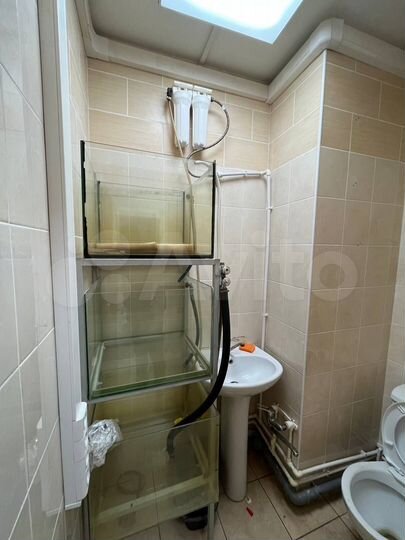 Торговая площадь, 54.1 м²