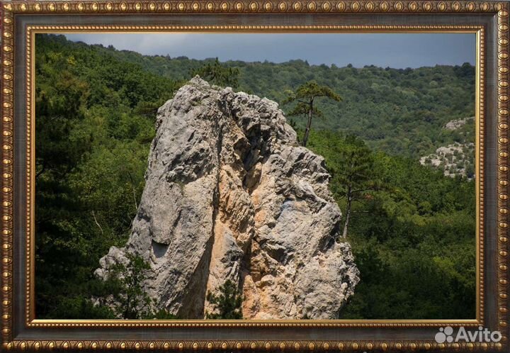 Фотокартина