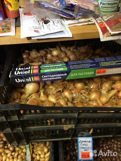 Фитолампы для растений