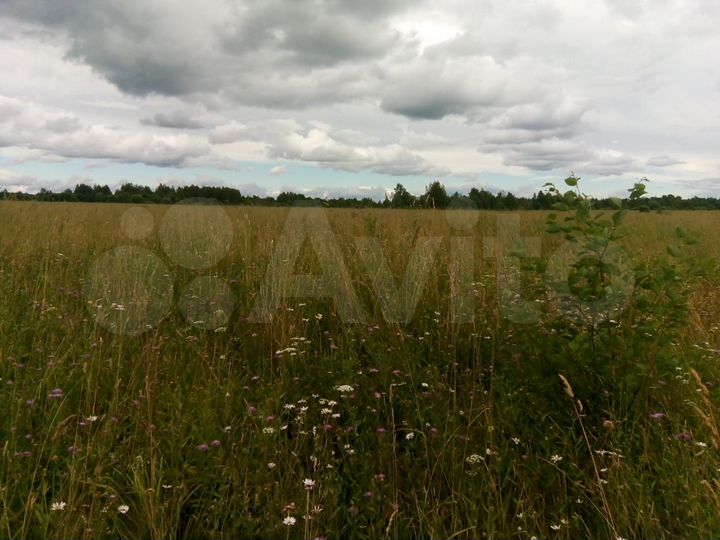 Участок 6 га (СНТ, ДНП)