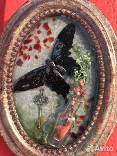 Пано с бабочками