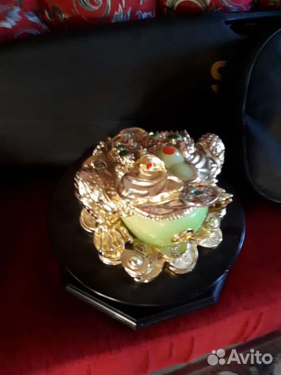 Лягушка денежная большая