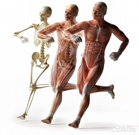 Курсы Тейпирование в Казани