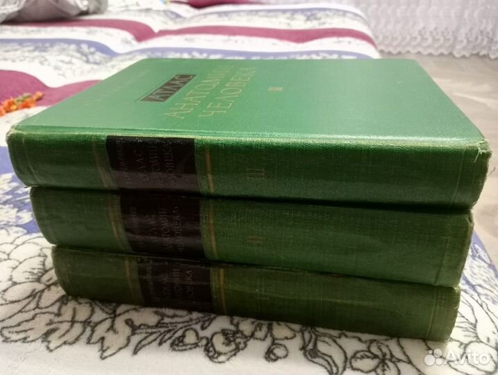 Атлас анатомический Синельников