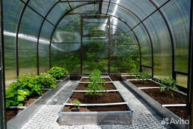 Теплица 3х8м усиленная