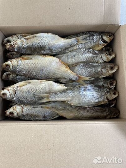 Экспортная вобла