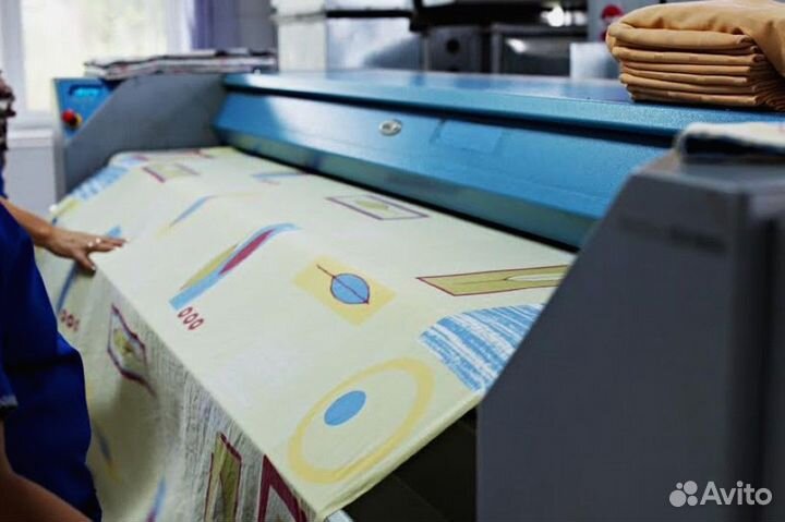 Гладильщица