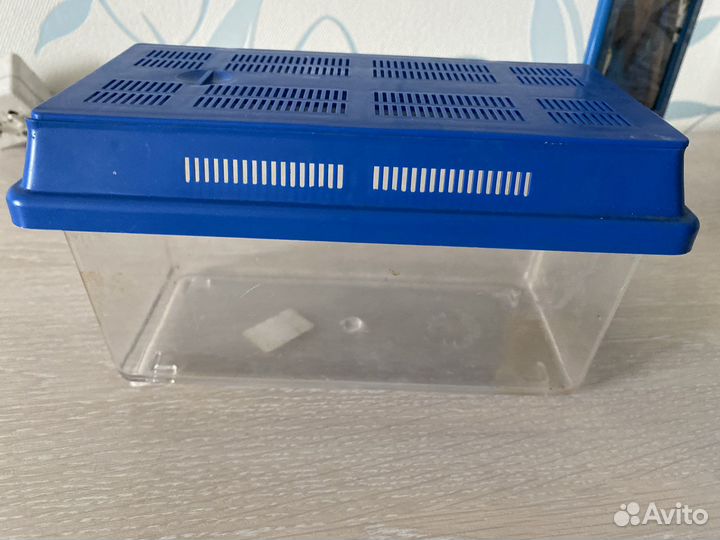 Аквариум террариум маленький