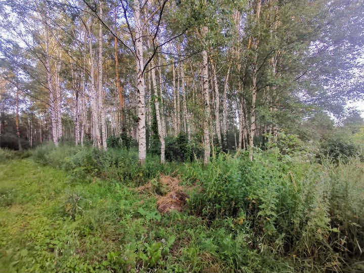 Участок 6,6 га (ИЖС)