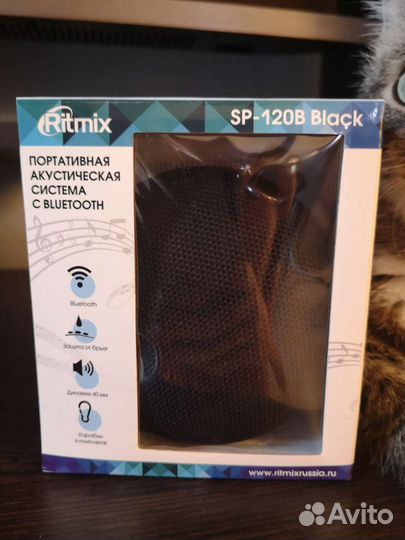 Портативная колонка ritmix SP-120B