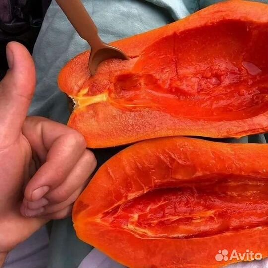 Замороженное пюре Красная Папайя 1кг Агробар