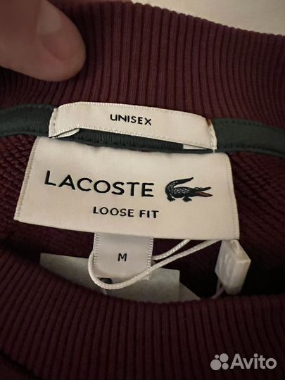 Свитшот Lacoste