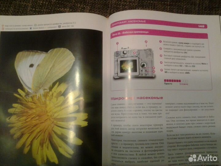 Цифровое фото в простых примерах