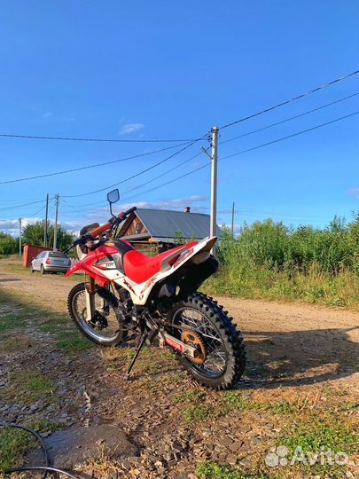 Ирбис TTR 250