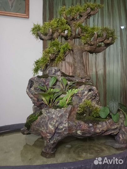 Фонтан Бонсай