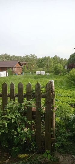 Дом 50 м² на участке 14 сот.