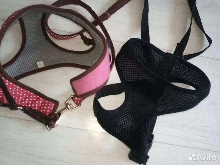 Ошейники поводки миски одежда