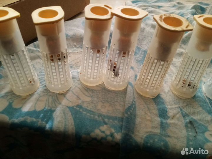 Пчеломатки Бакфаст на 2023 год