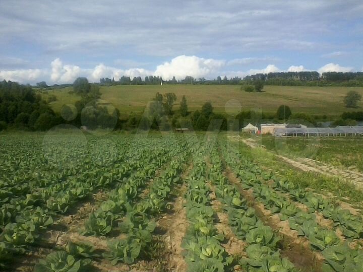 Участок 21,3 га (СНТ, ДНП)