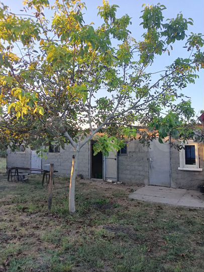 Дом 31 м² на участке 50 сот.