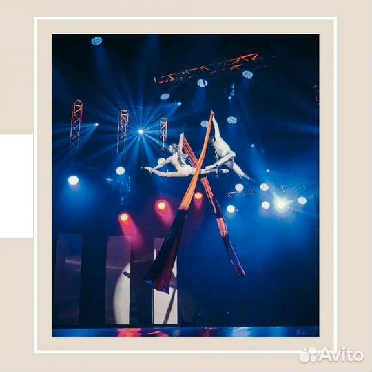 Балет, хореография, танцы, гимнастика, цирковое ис