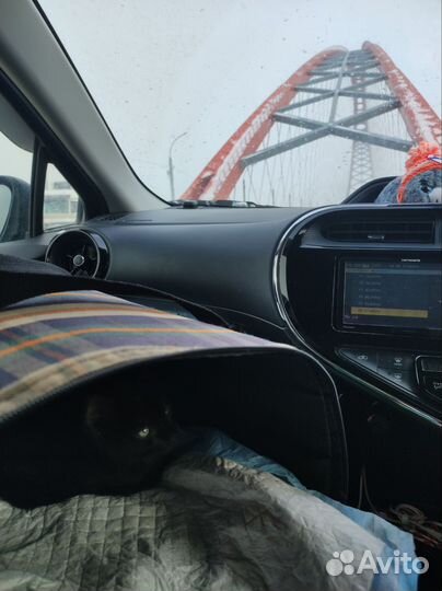 Перевозка животных зоотакси