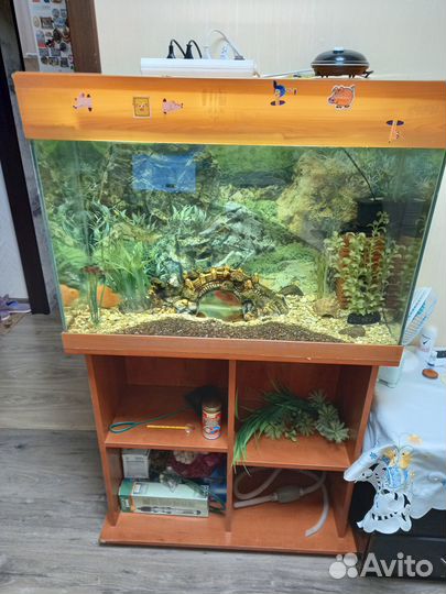 Аквариум 130 литров с тумбой