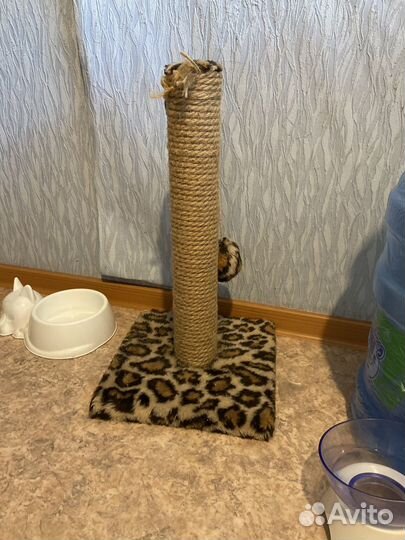 Когтеточка