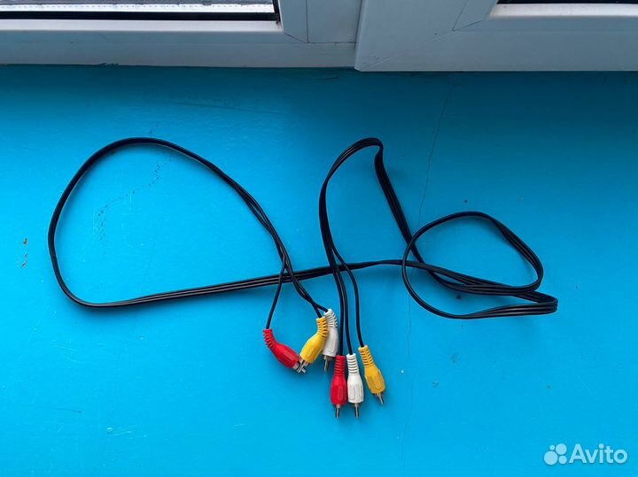 Тюльпаны провода