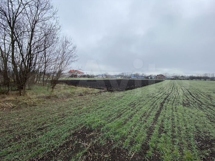 Участок 25 сот. (ИЖС)