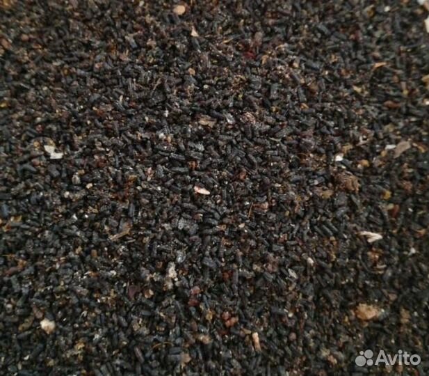 Пжвм восковая моль огневка