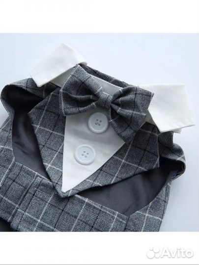 Костюм для собак