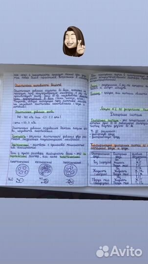 Переписывание лекций конспектов