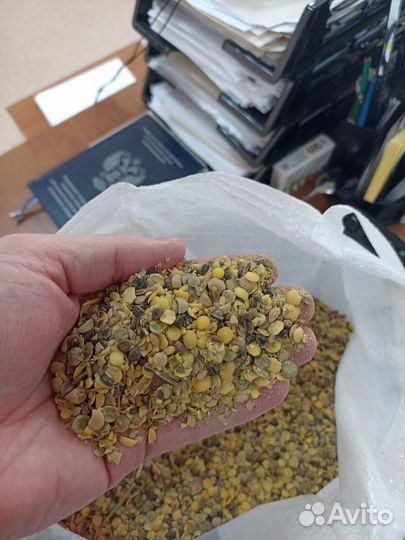 Отходы чечевицы