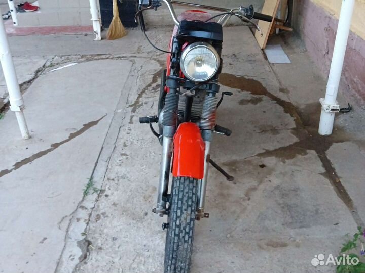 Продам сову