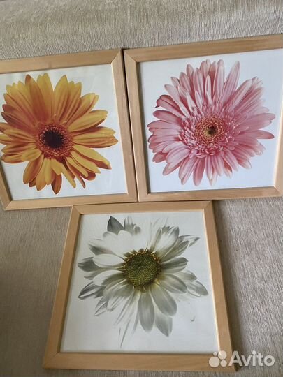 Картины IKEA 34/34см