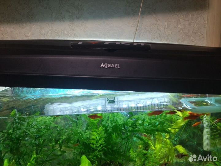 Аквариум с рыбками
