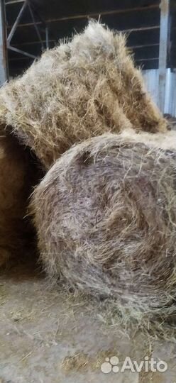 Продам сено в рулонах